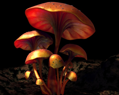 images/figures.subsurface/mushrooms.jpg